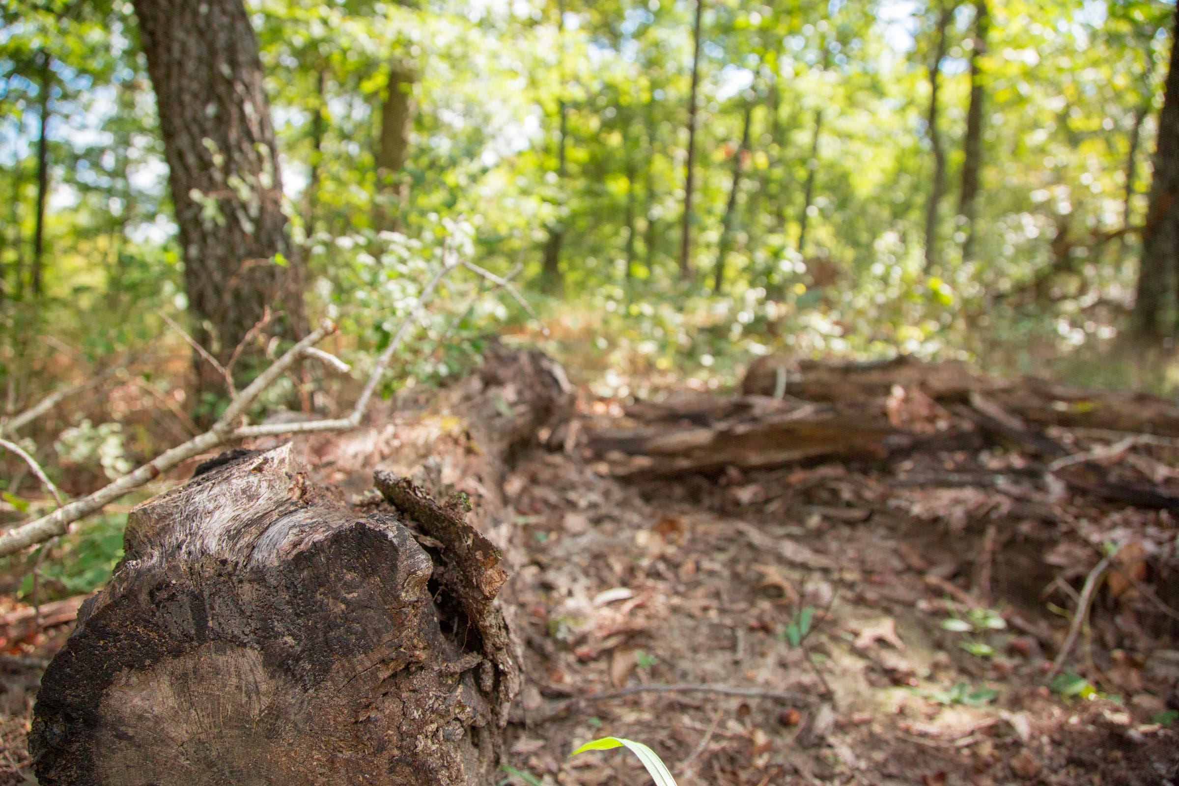 Wagon Wheel Ranch Tract 21 photo 4