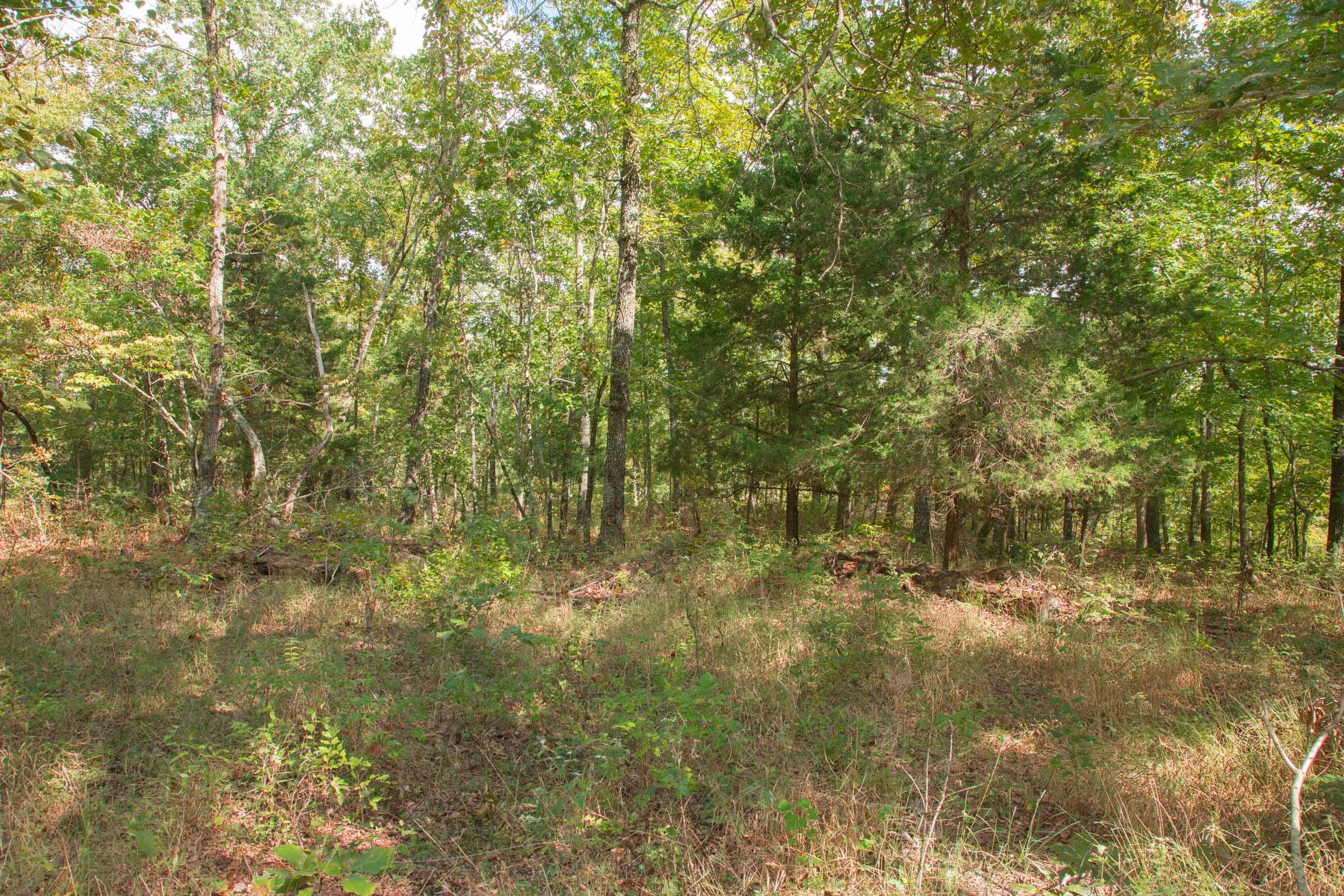 Wagon Wheel Ranch Tract 21 photo 5