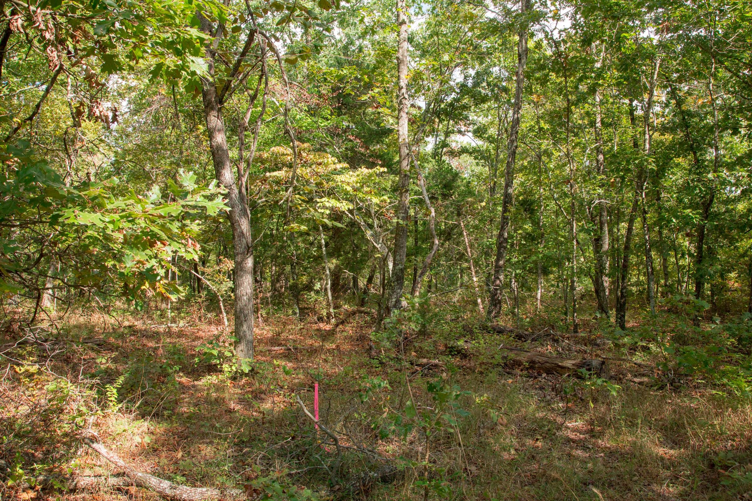 Wagon Wheel Ranch Tract 21 photo 7