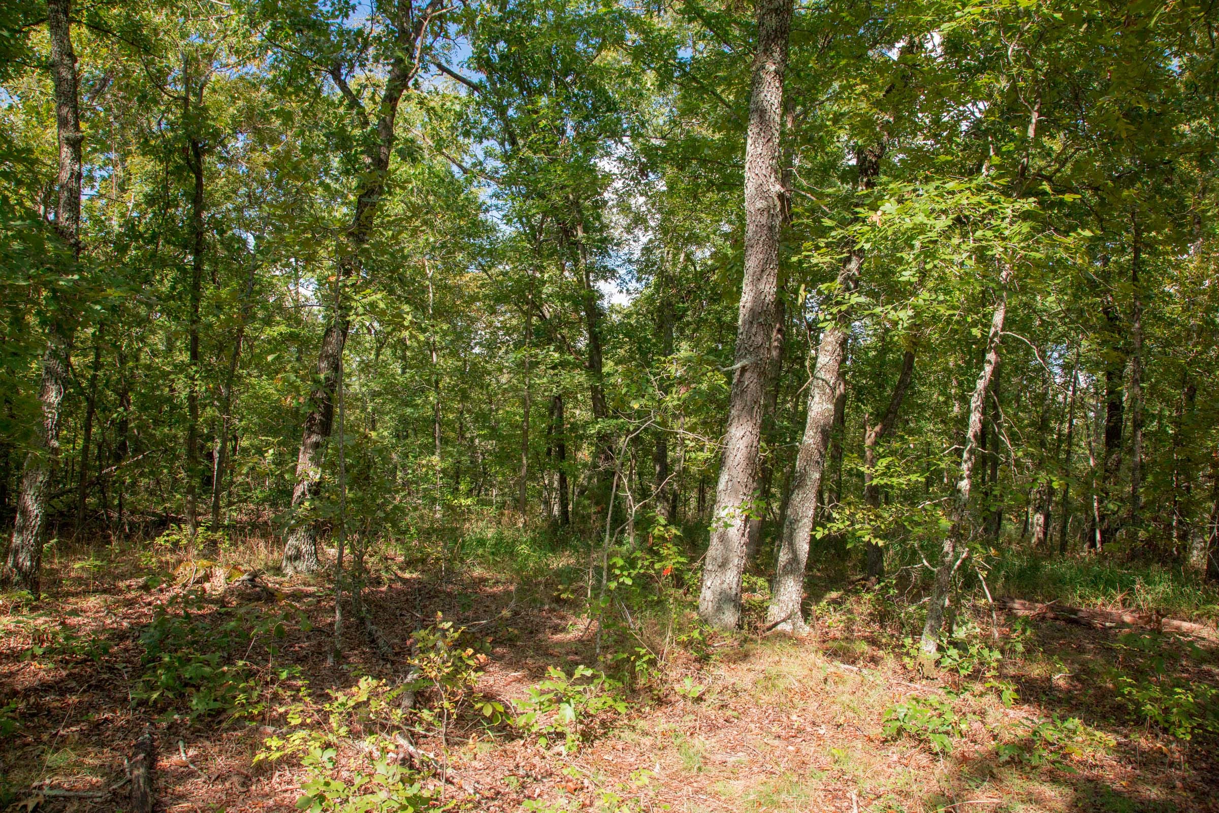 Wagon Wheel Ranch Tract 21 photo 8