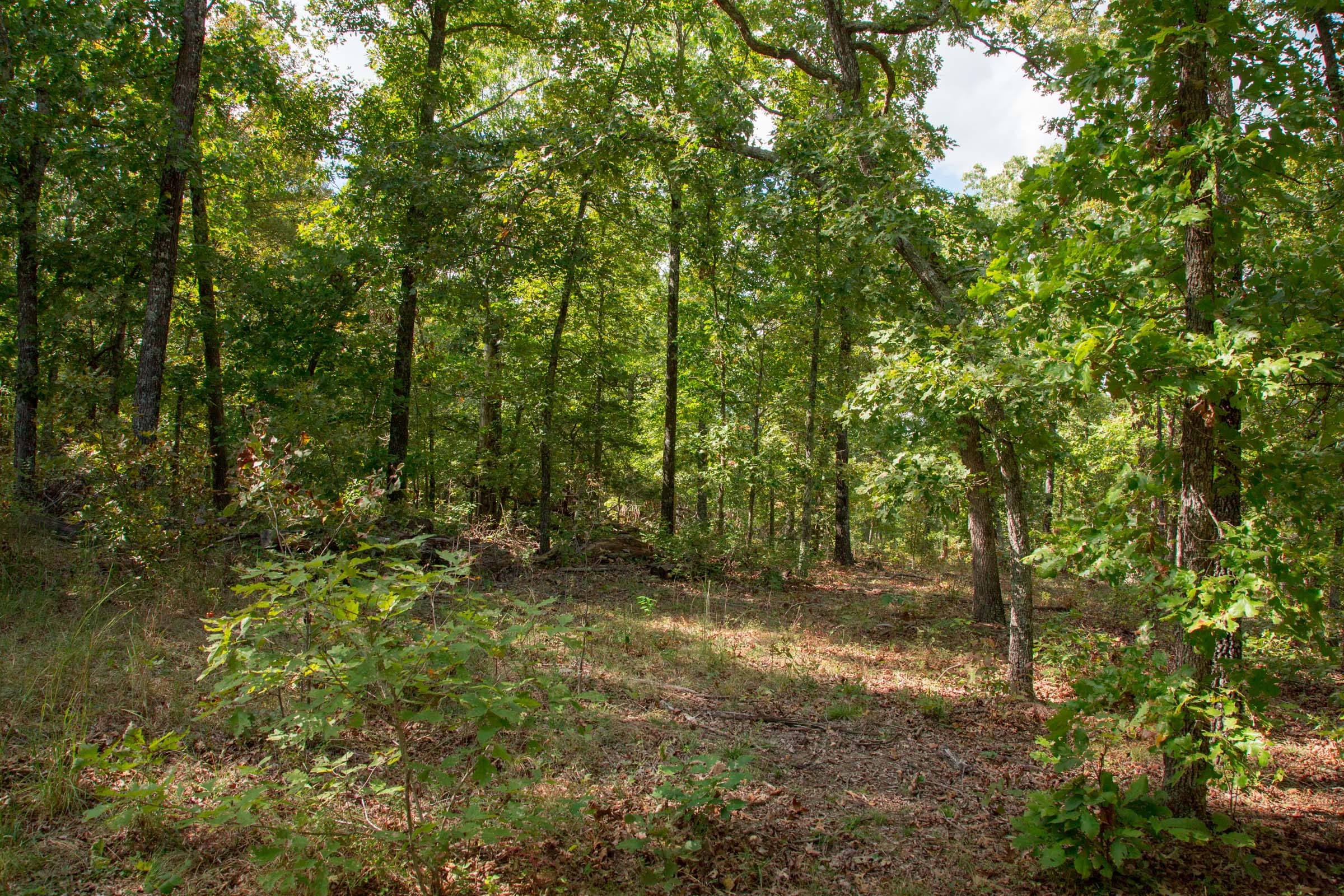 Wagon Wheel Ranch Tract 21 photo 9
