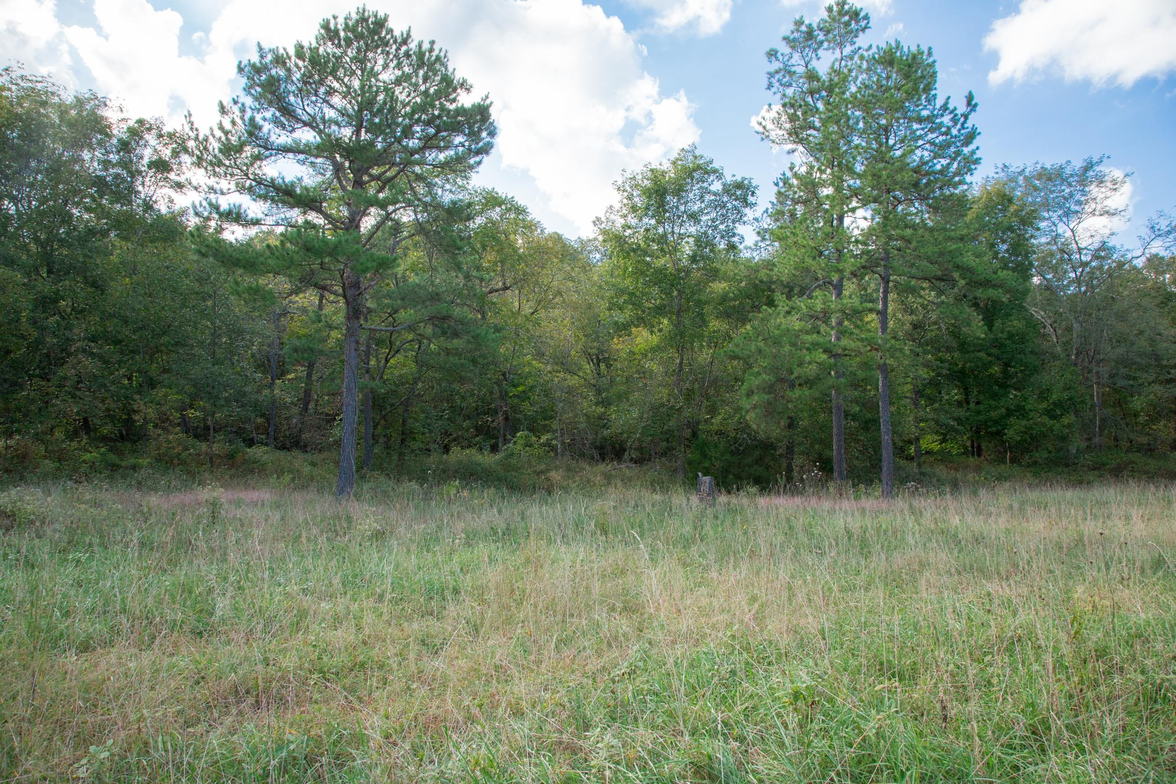 Wagon Wheel Ranch Tract 21 photo 10