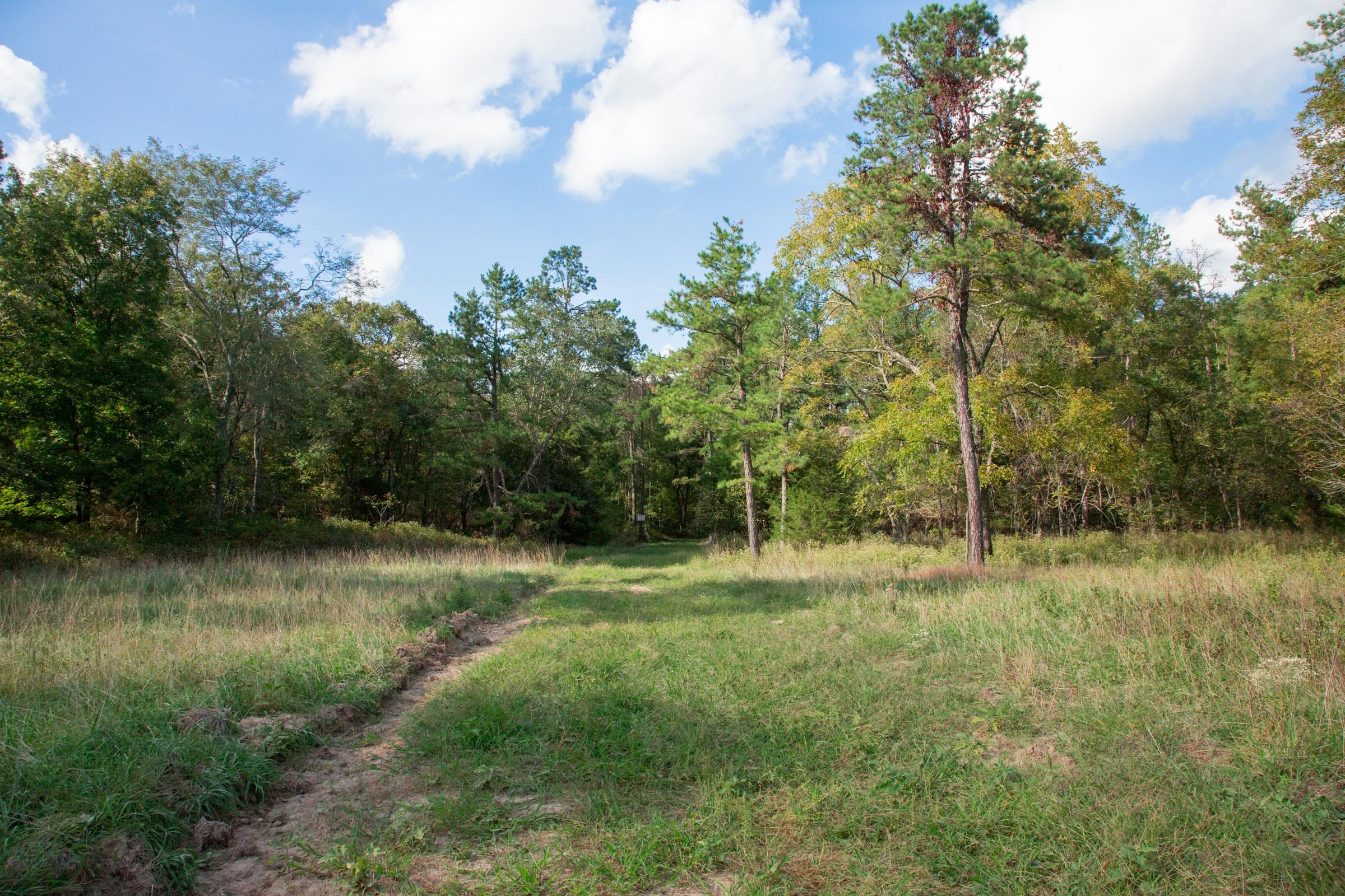 Wagon Wheel Ranch Tract 21 photo 2