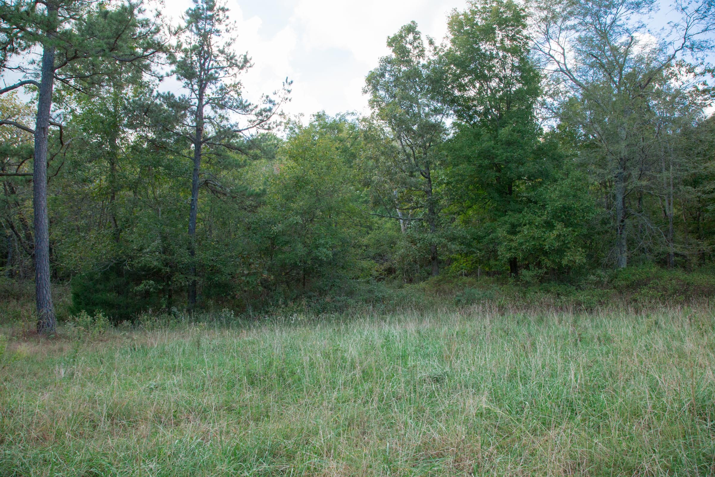 Wagon Wheel Ranch Tract 21 photo 12