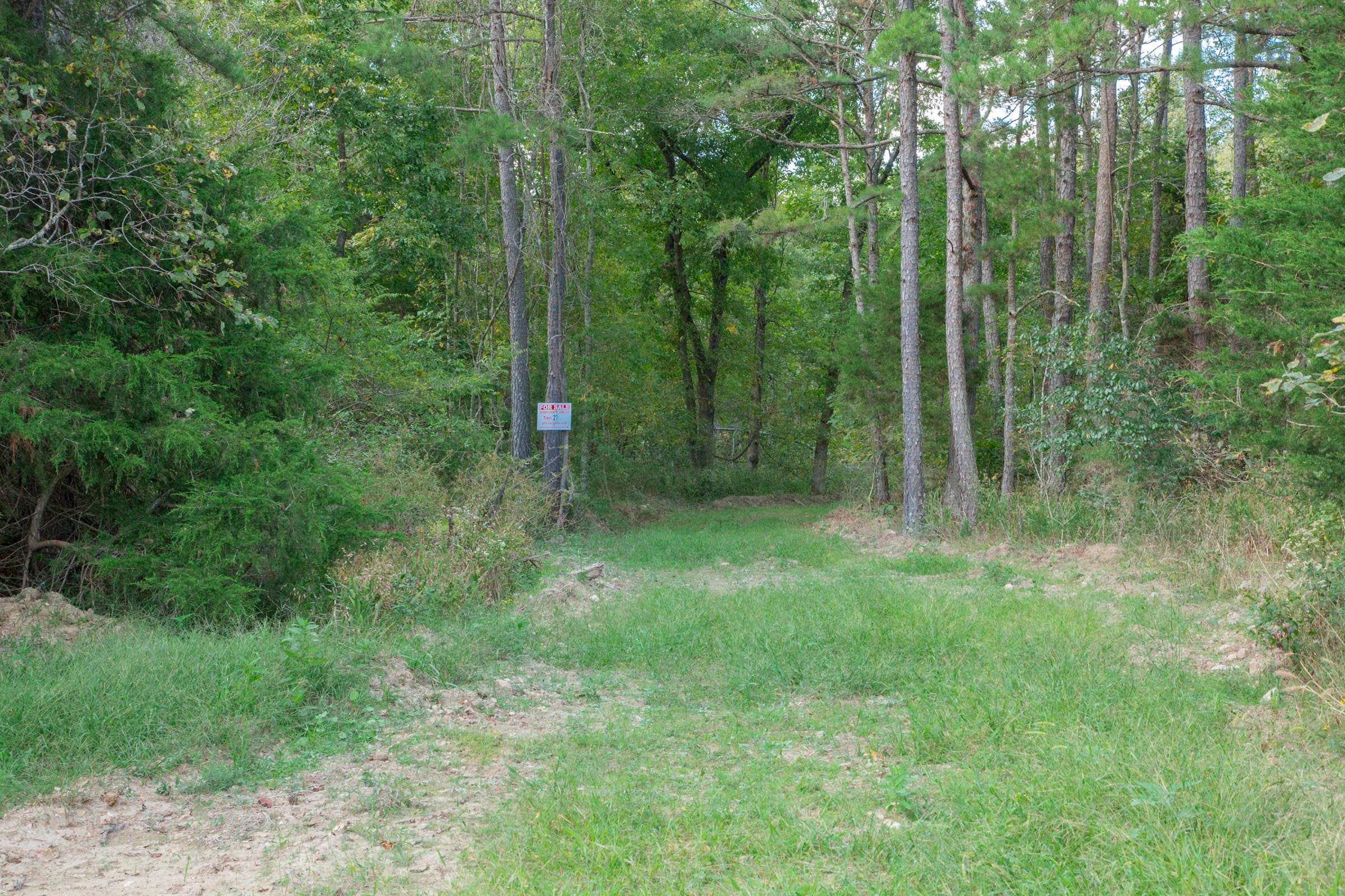 Wagon Wheel Ranch Tract 21 photo 11