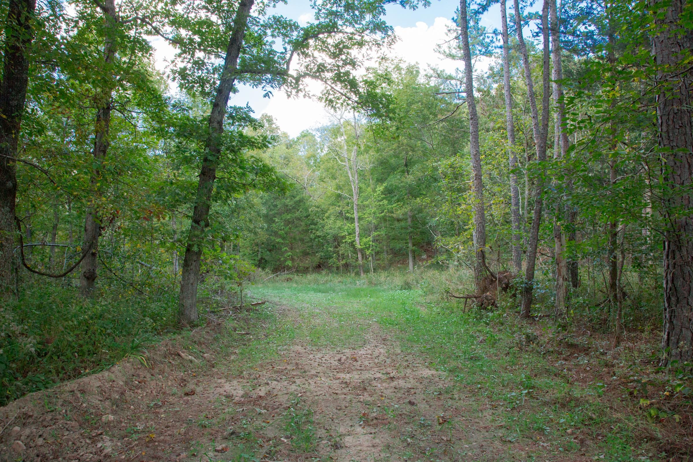 Wagon Wheel Ranch Tract 21 photo 6