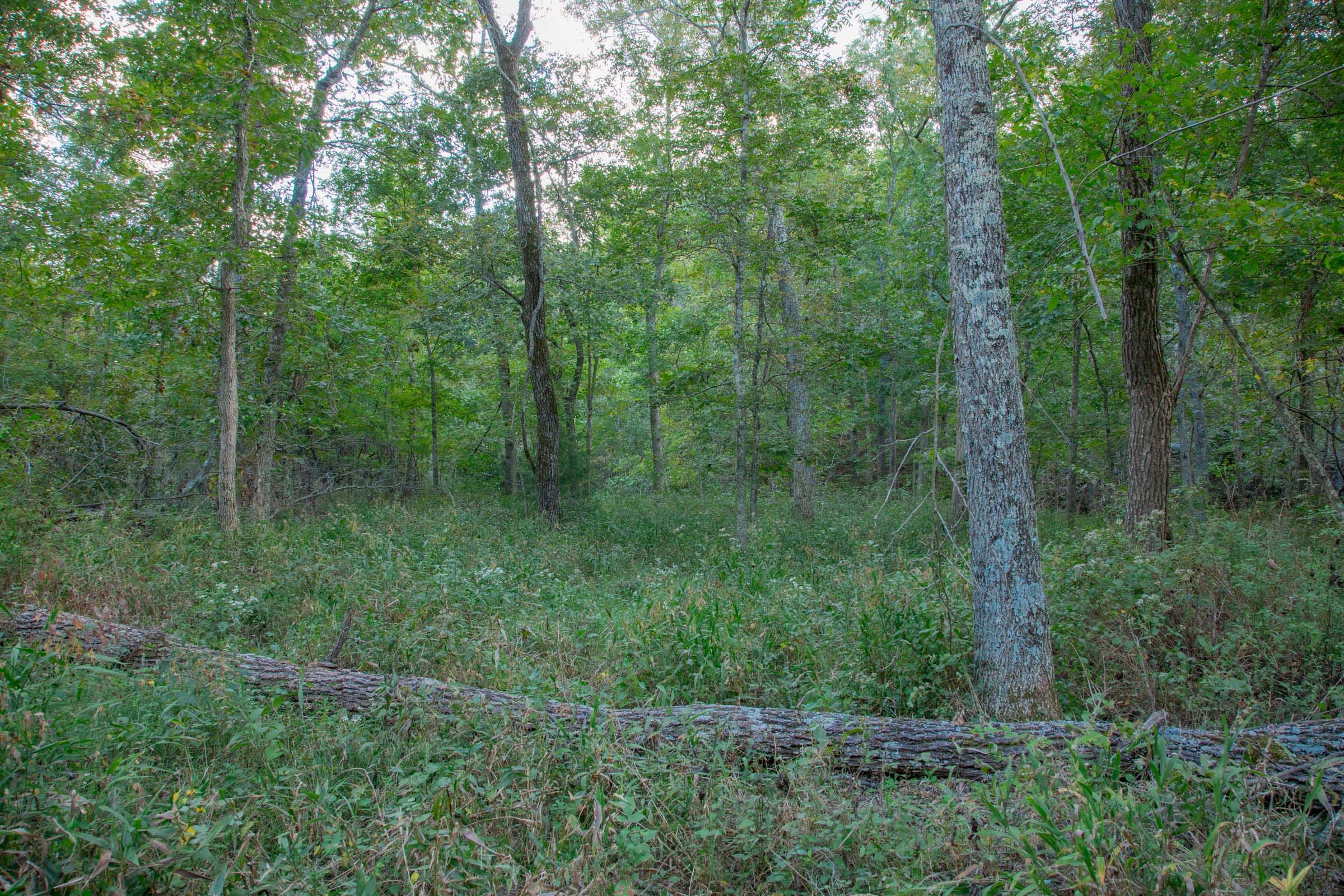 Wagon Wheel Ranch Tract 21 photo 15