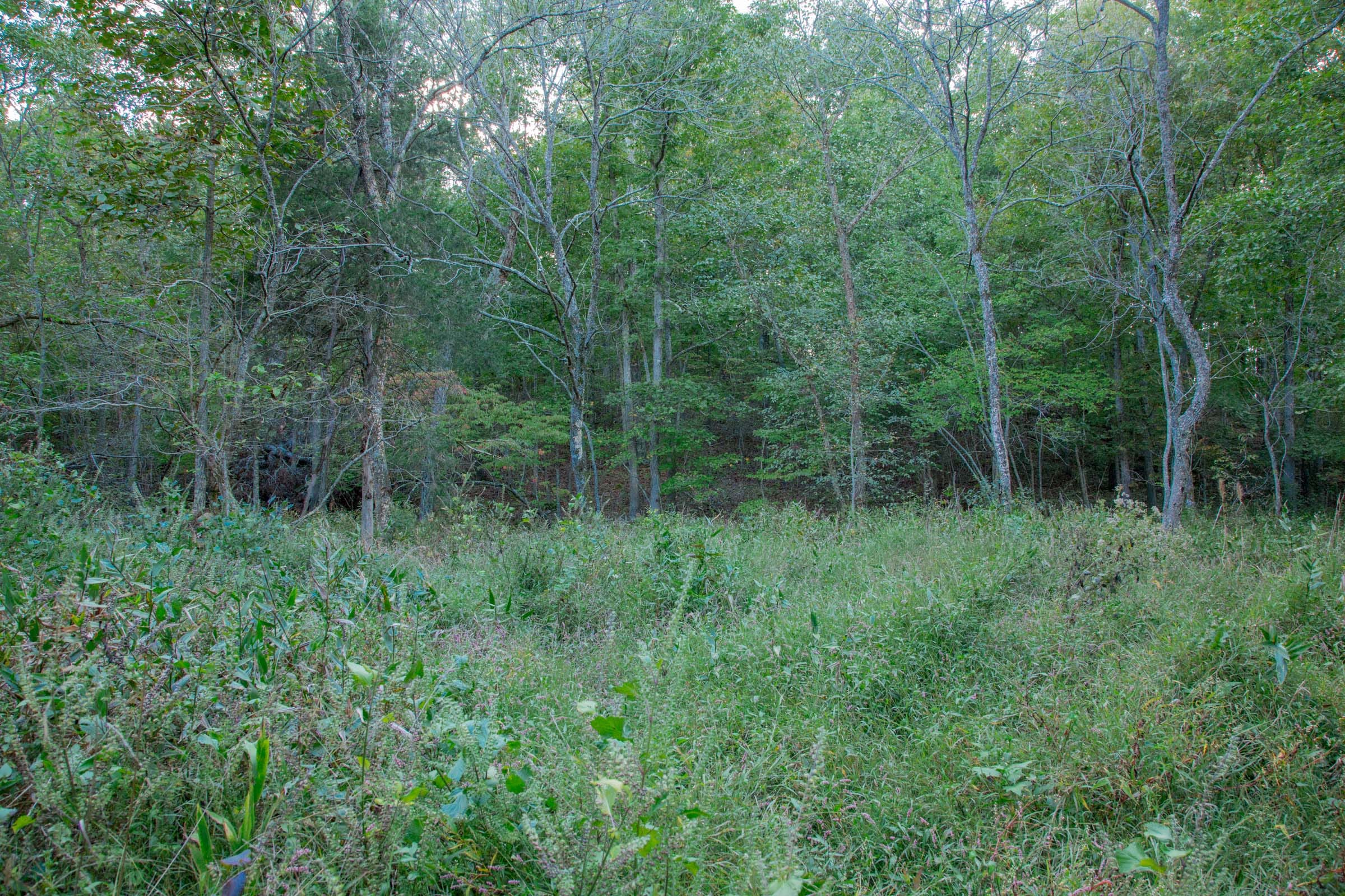Wagon Wheel Ranch Tract 21 photo 16
