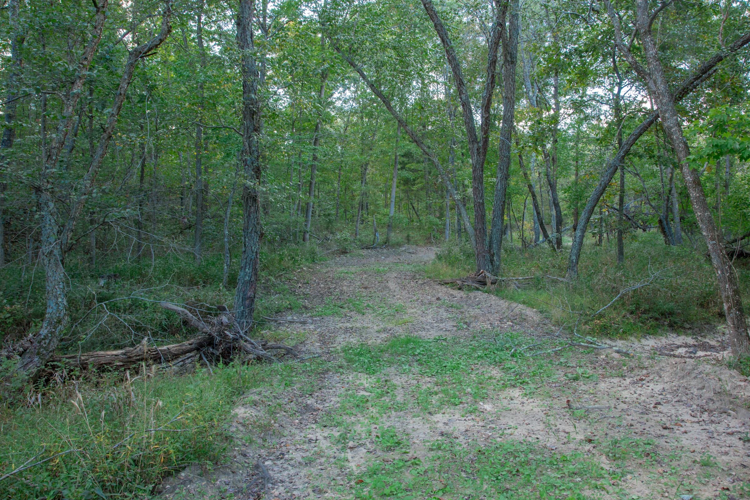 Wagon Wheel Ranch Tract 21 photo 17