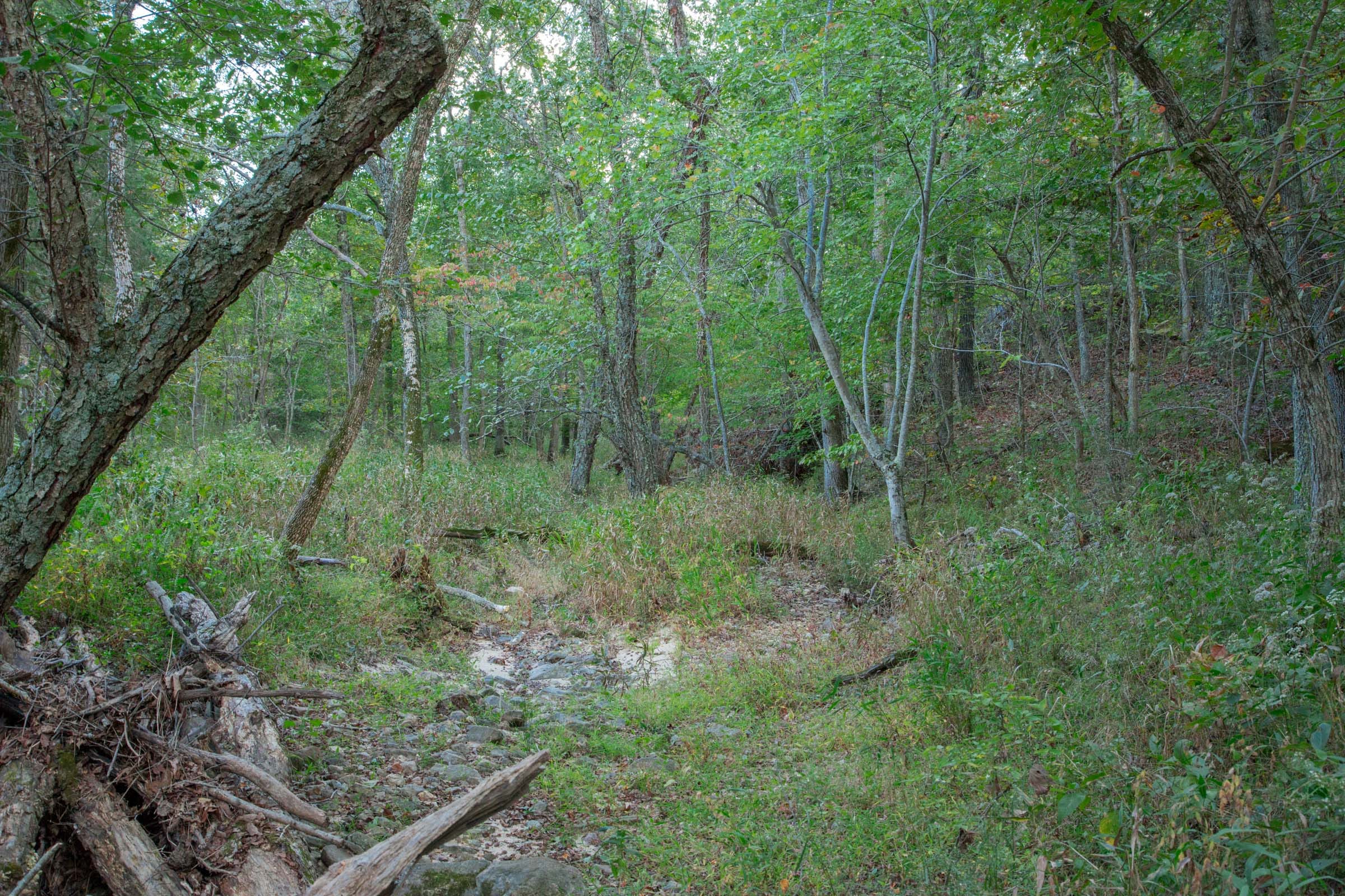 Wagon Wheel Ranch Tract 21 photo 18