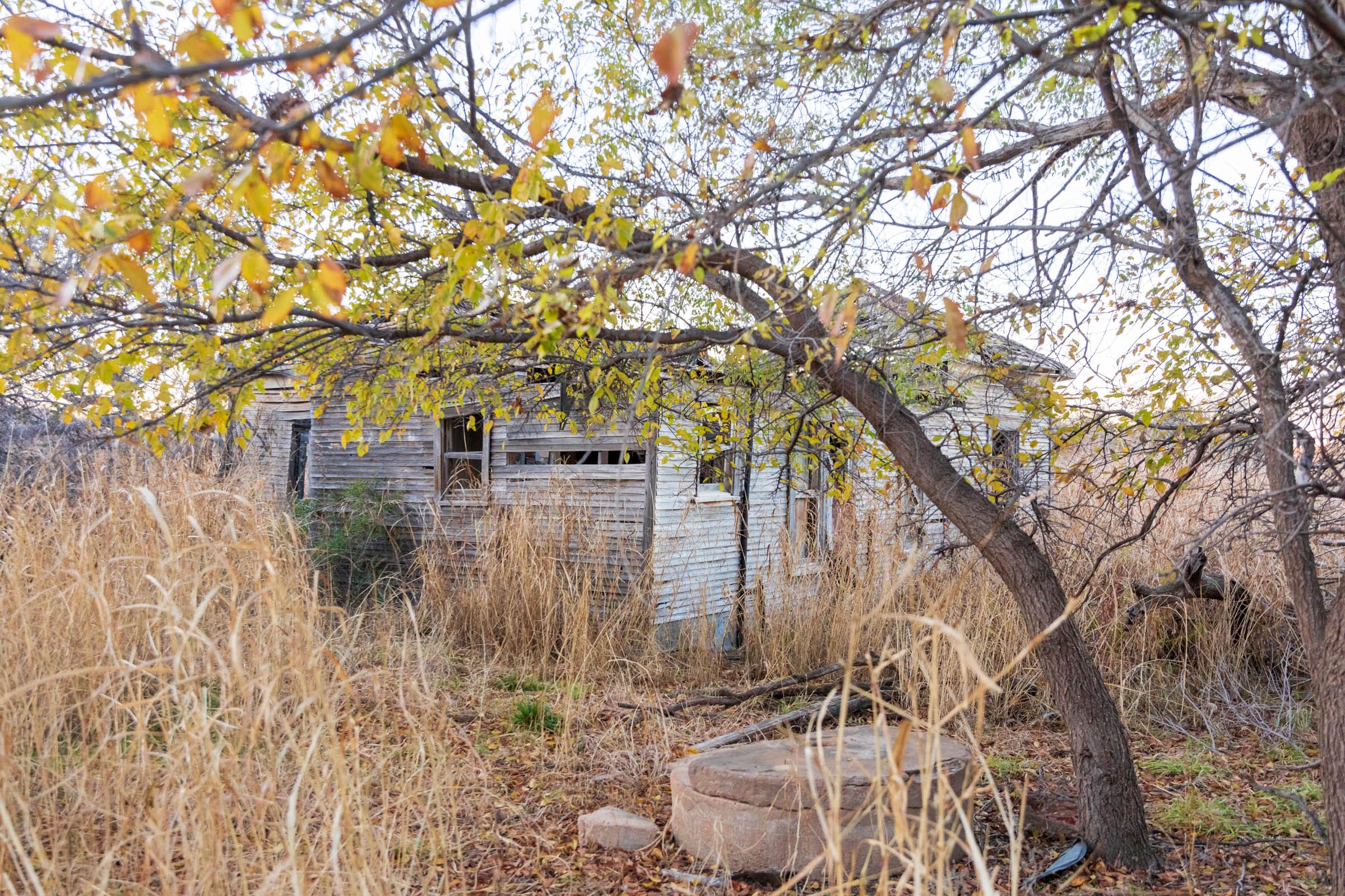 Coyote Ridge Tract 3 photo 9