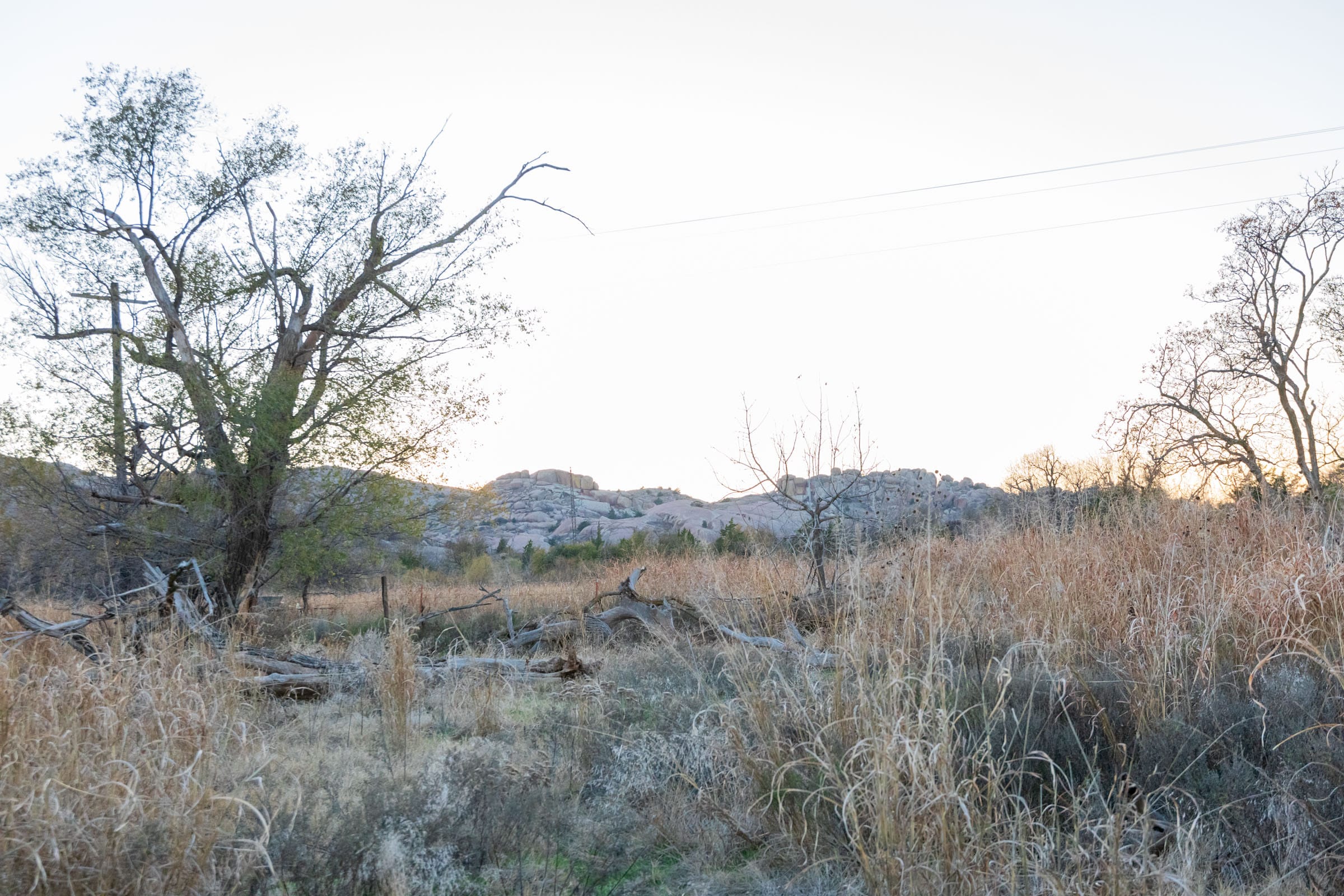 Coyote Ridge Tract 3 photo 6