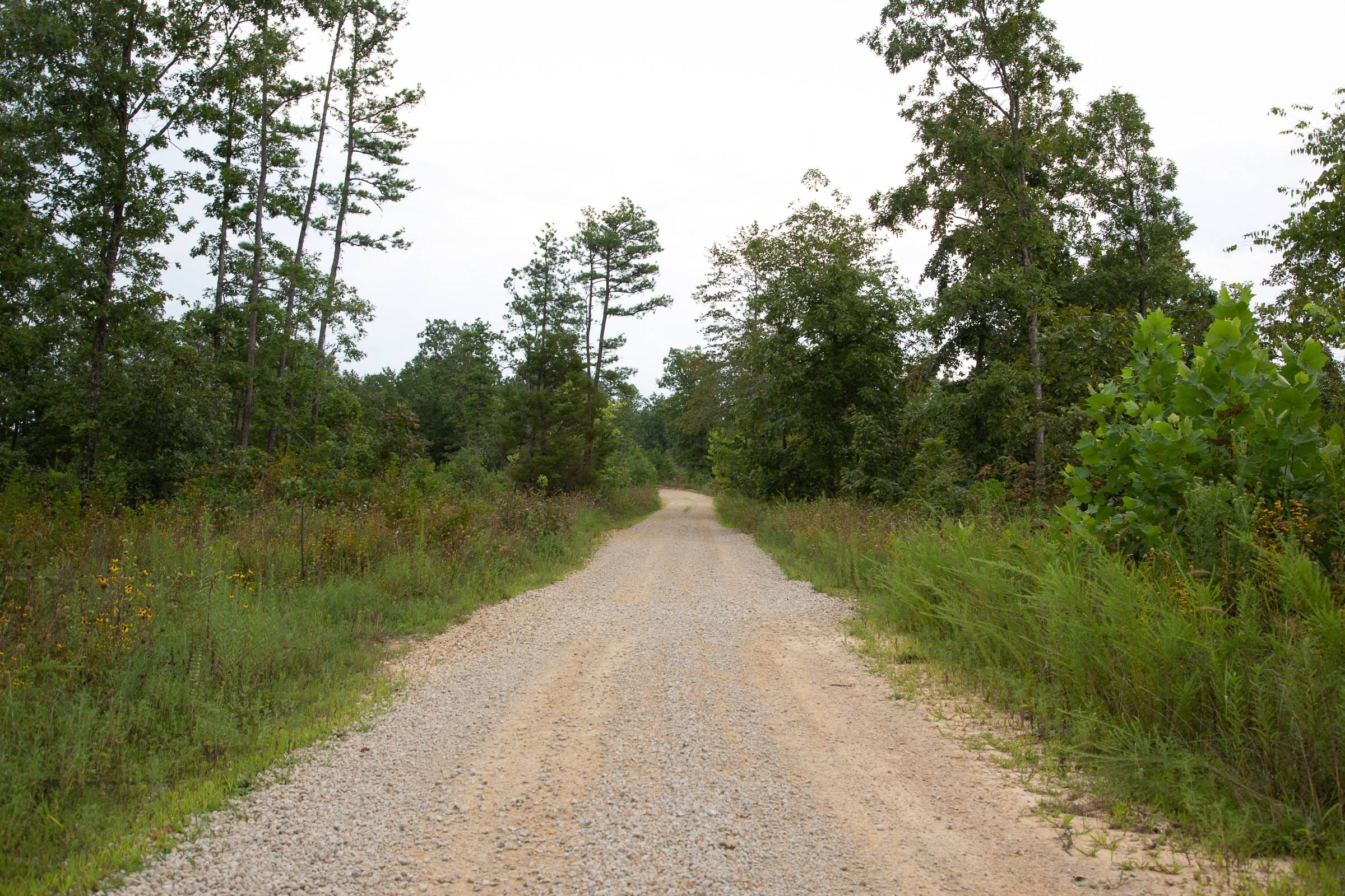 Borgmann’s Hollow Phase II Tract 34 photo 2