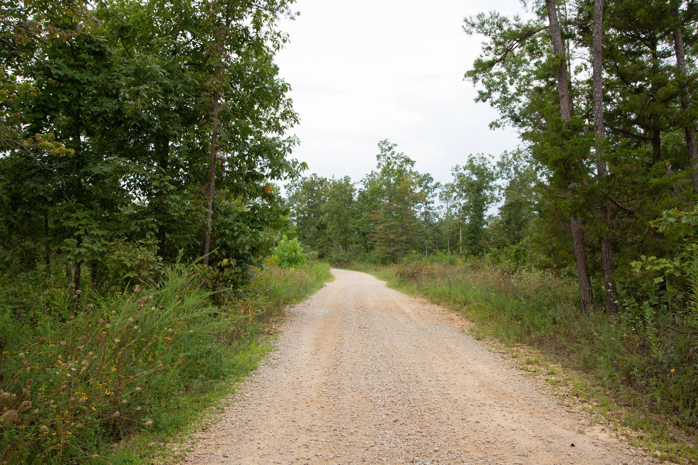 Borgmann’s Hollow Phase II Tract 34 photo 7