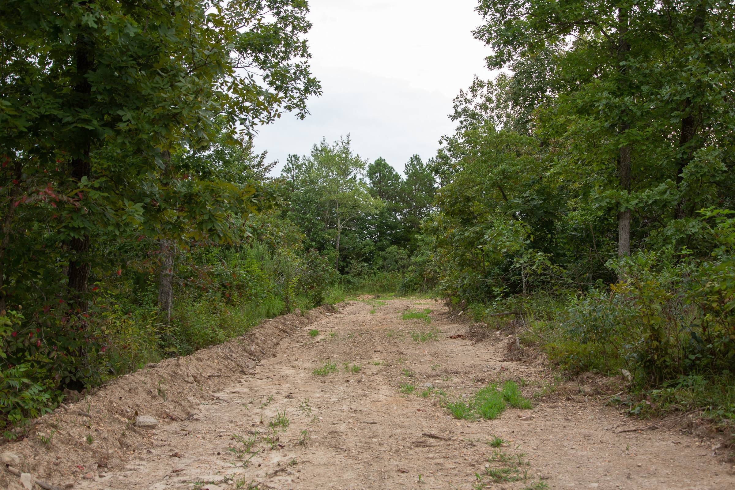Borgmann’s Hollow Phase II Tract 34 photo 11