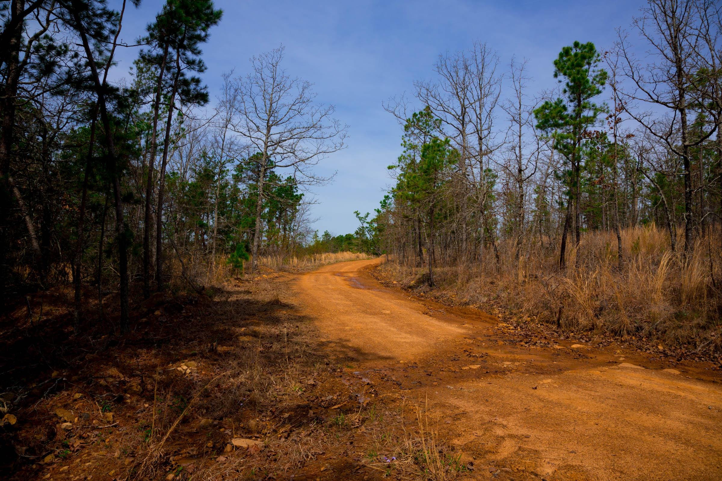 Stone Creek Phase II Tract 205 photo 2