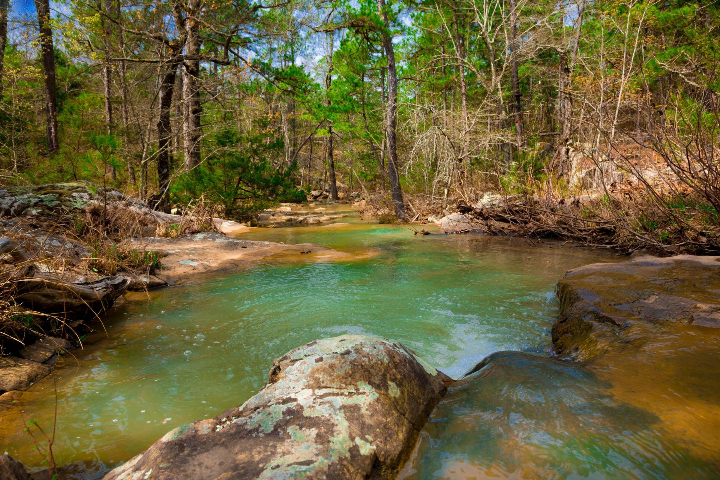 Stone Creek Phase II Tract 205 photo 6