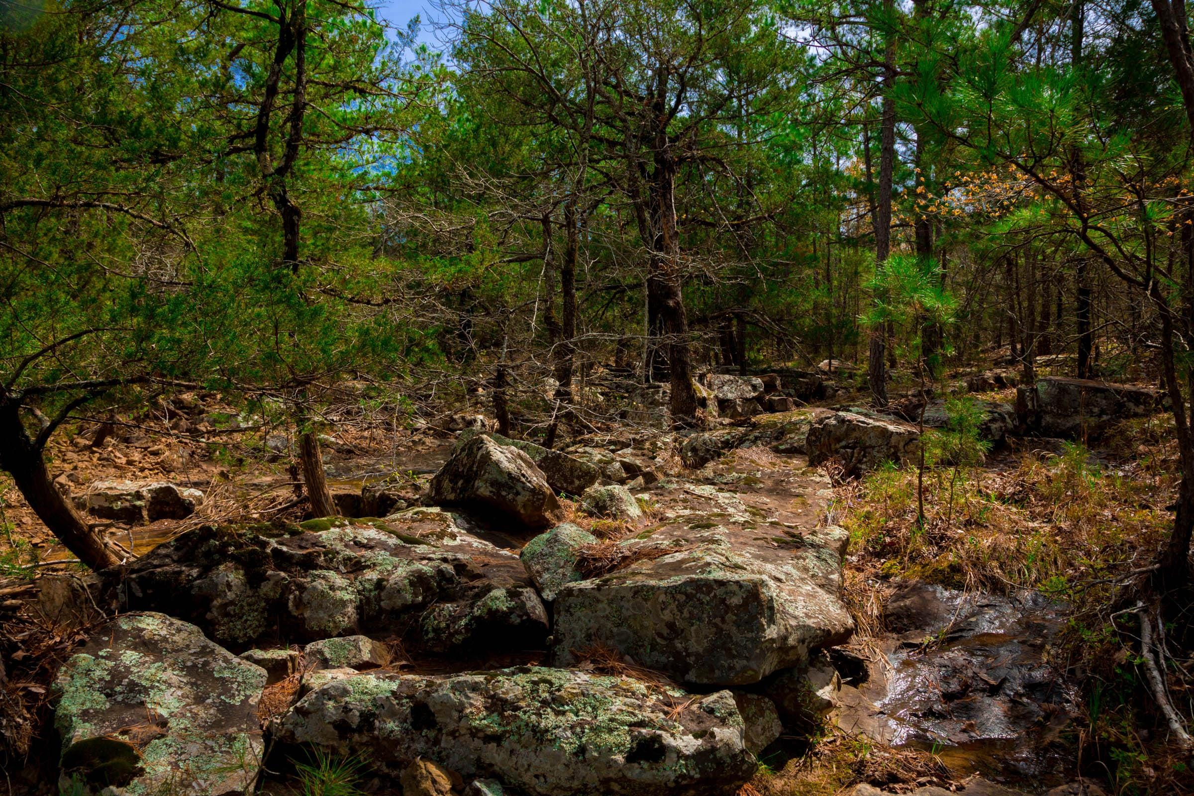 Stone Creek Phase II Tract 205 photo 8