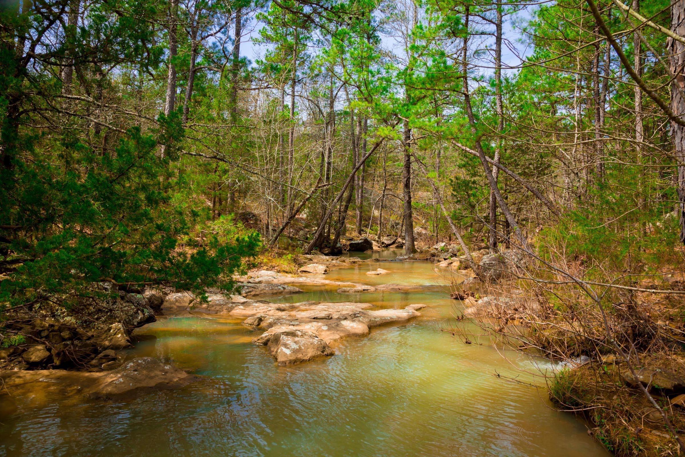 Stone Creek Phase II Tract 205 photo 17