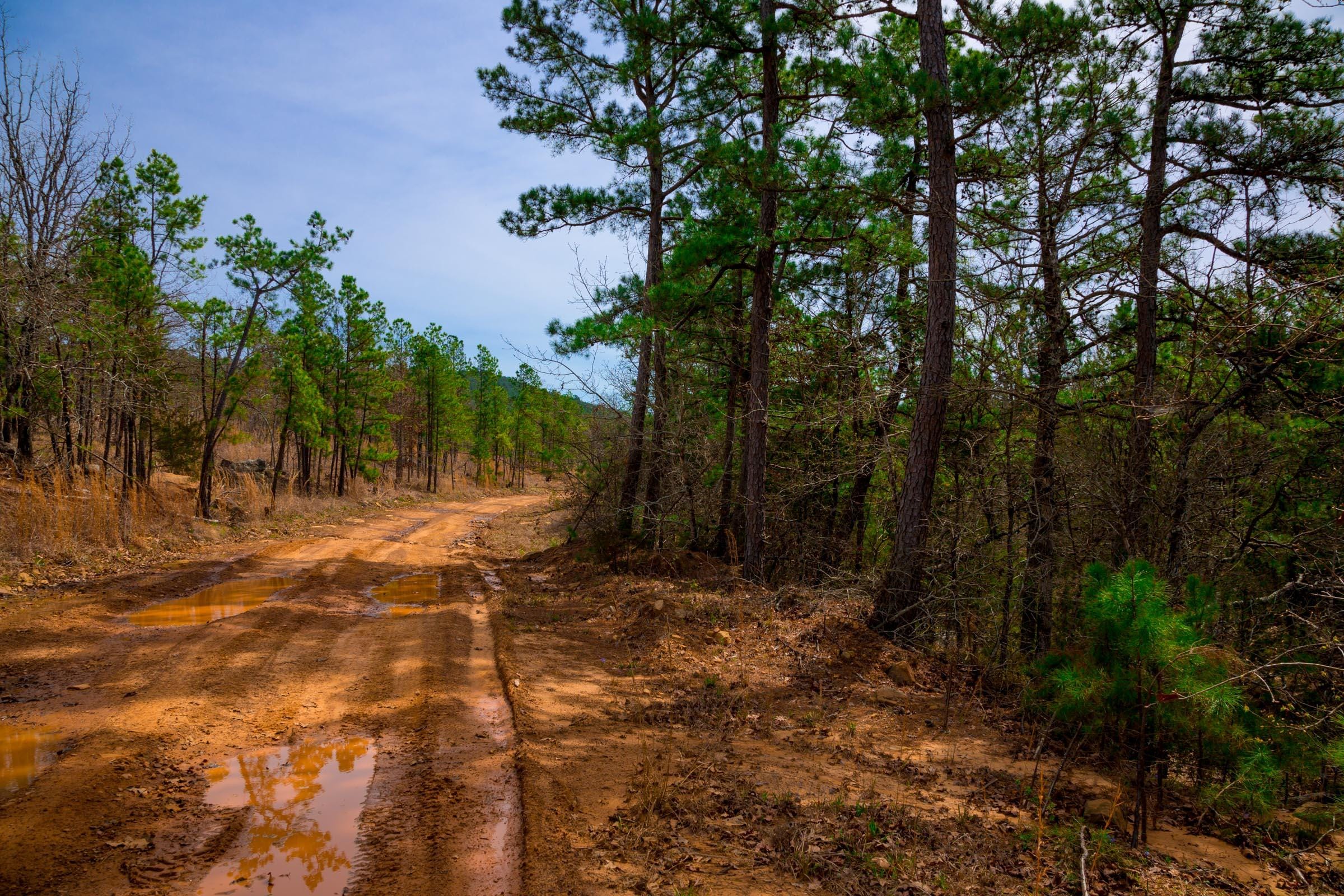 Stone Creek Phase II Tract 205 photo 22