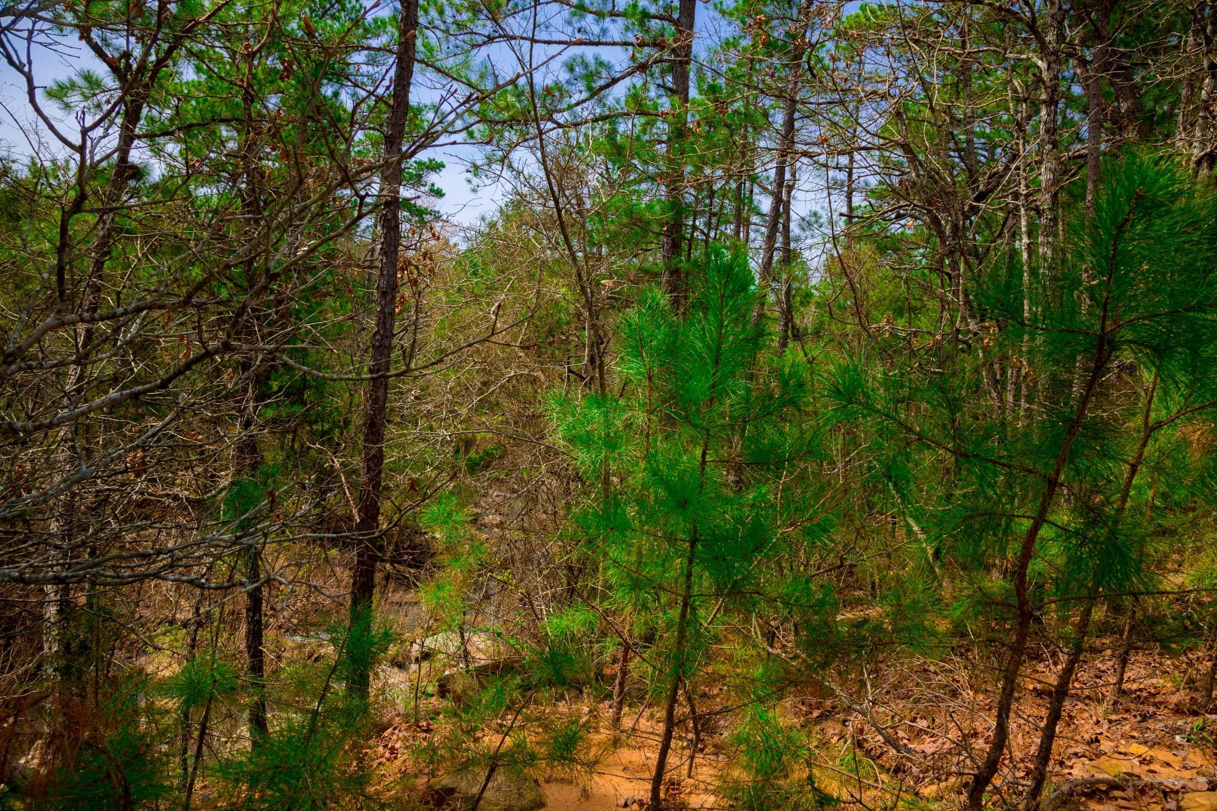 Stone Creek Phase II Tract 205 photo 23