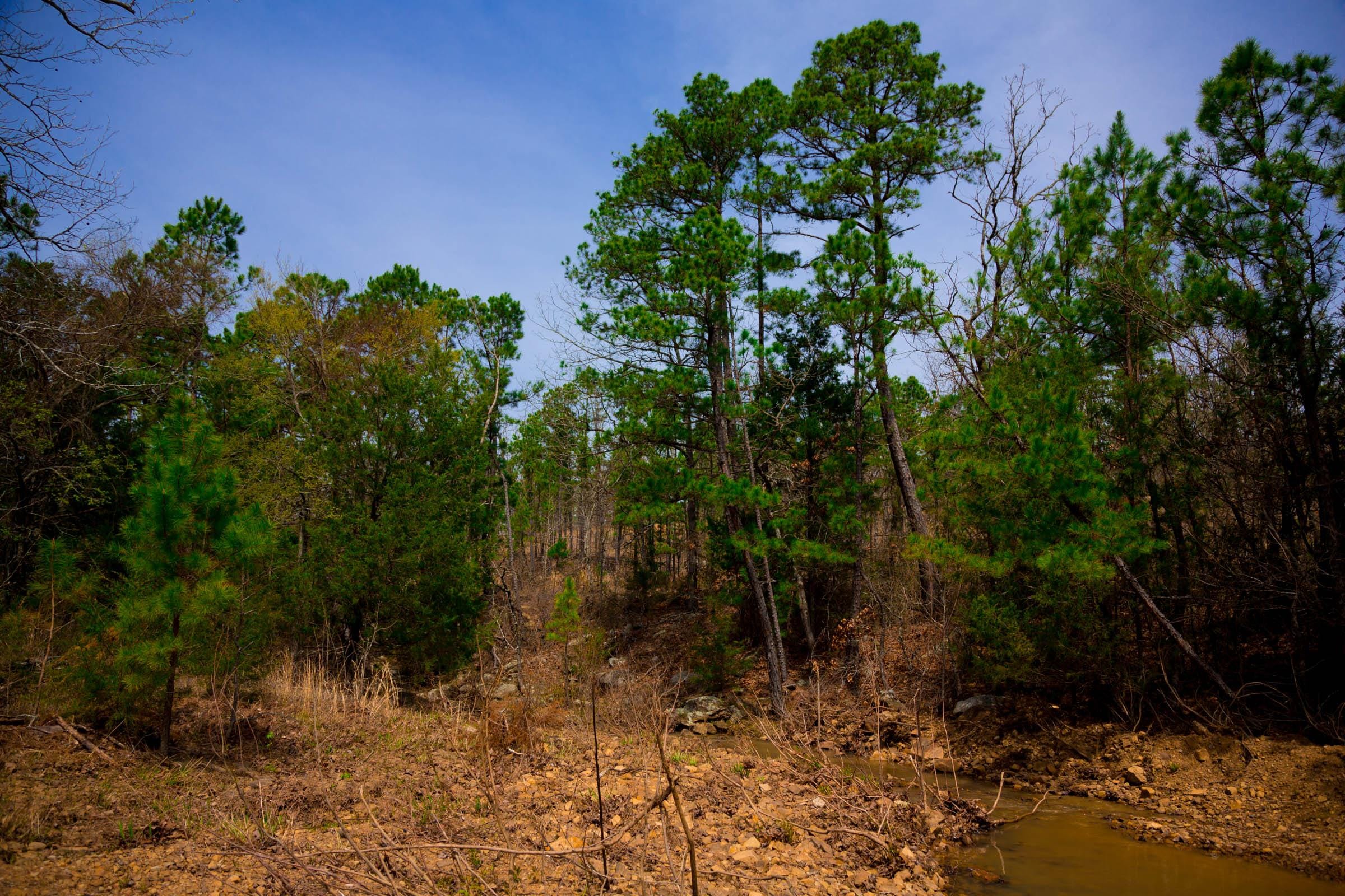 Stone Creek Phase II Tract 205 photo 28