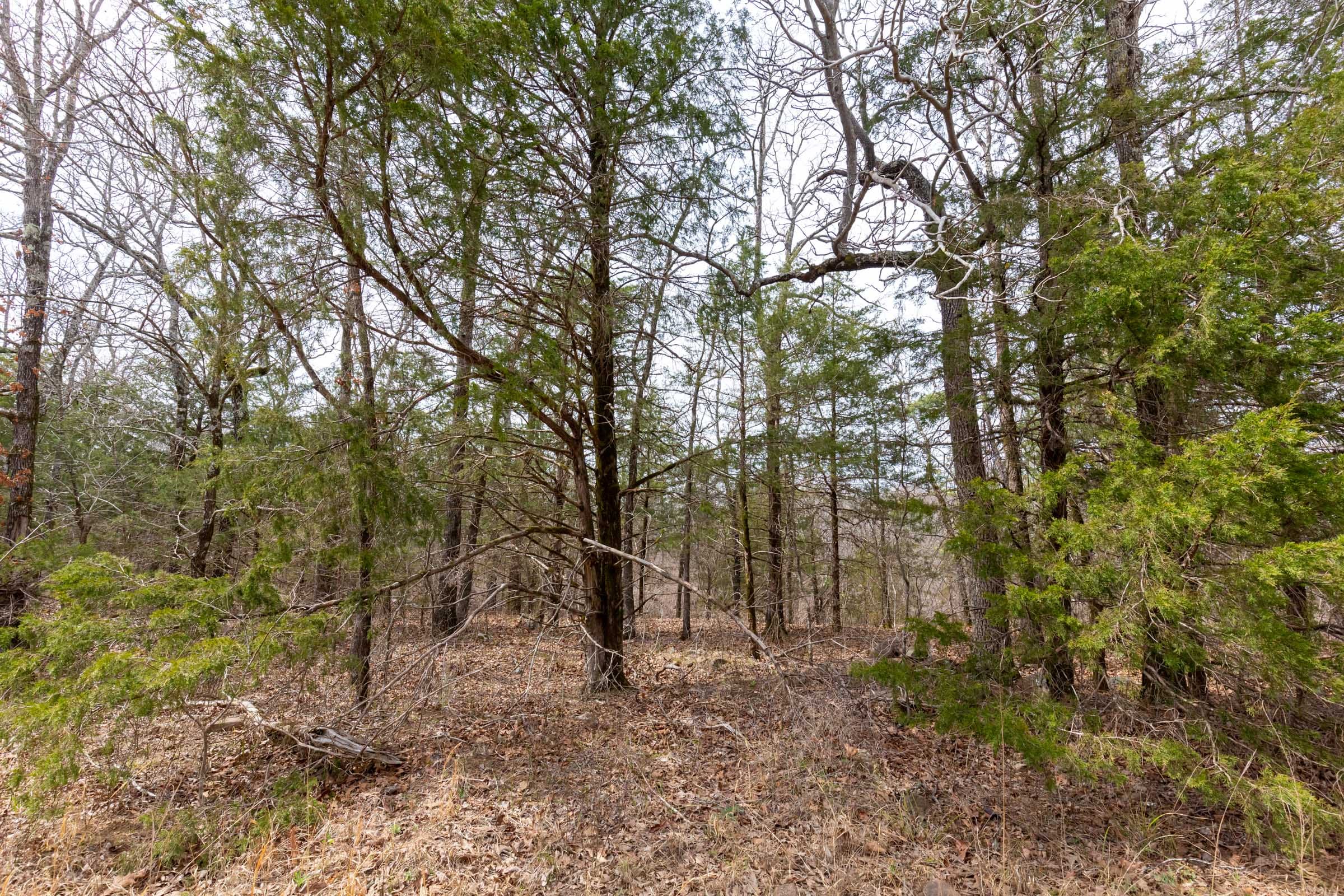 Stone Bridge Phase III Tract 150 photo 5
