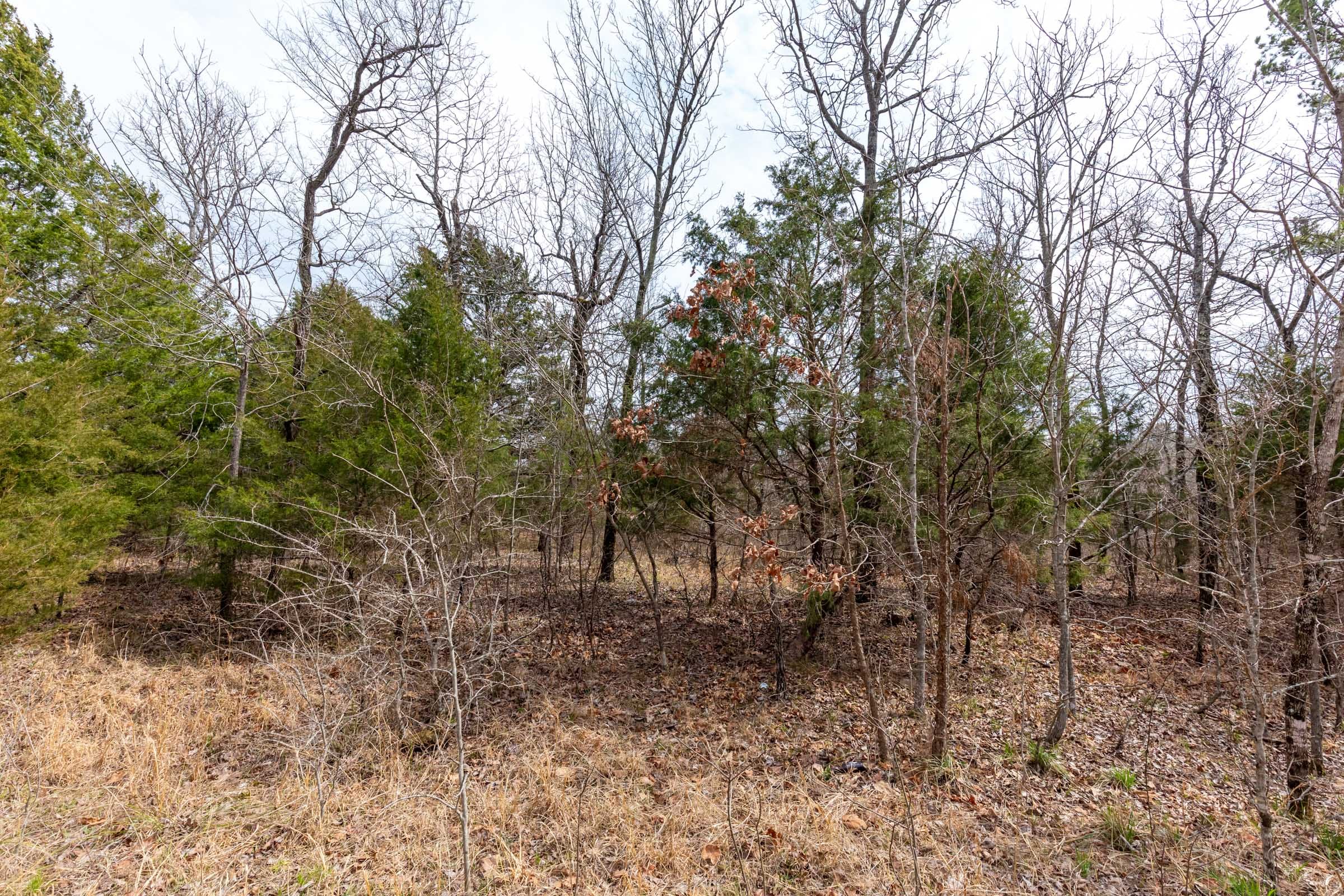 Stone Bridge Phase III Tract 150 photo 6