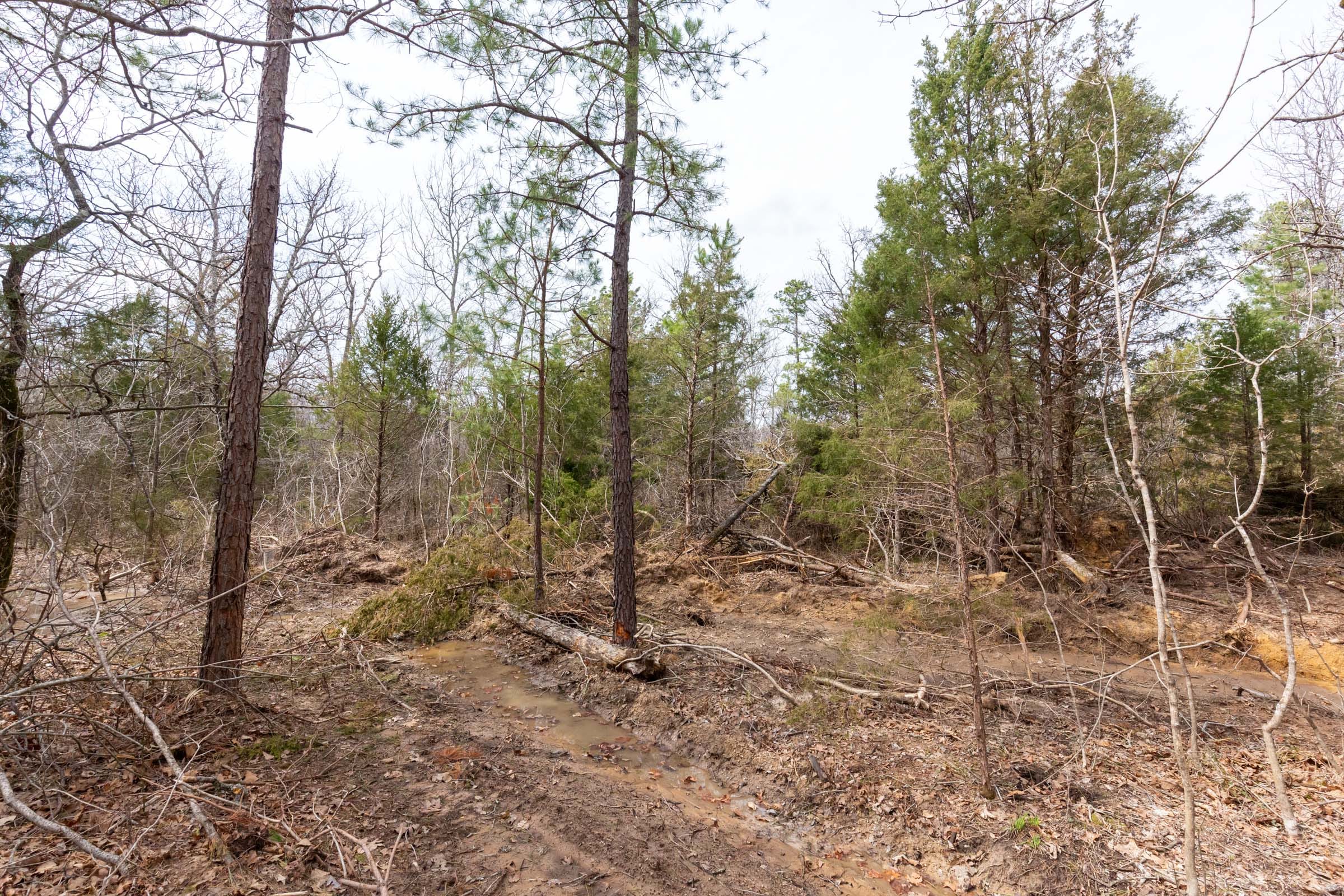 Stone Bridge Phase III Tract 150 photo 8