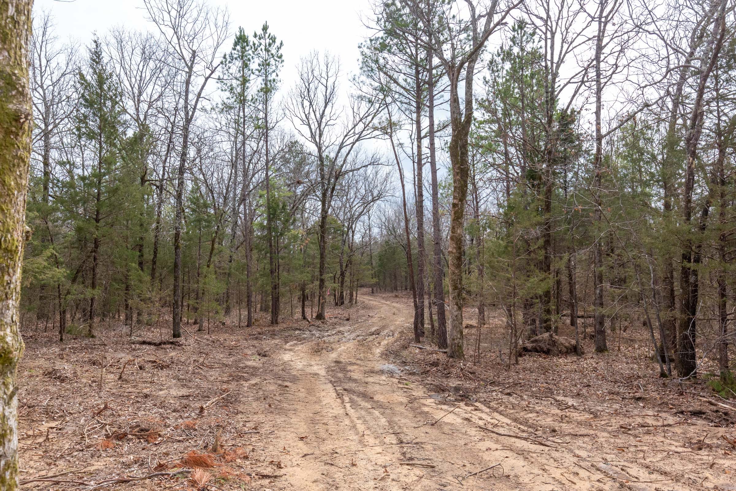 Stone Bridge Phase III Tract 150 photo 7