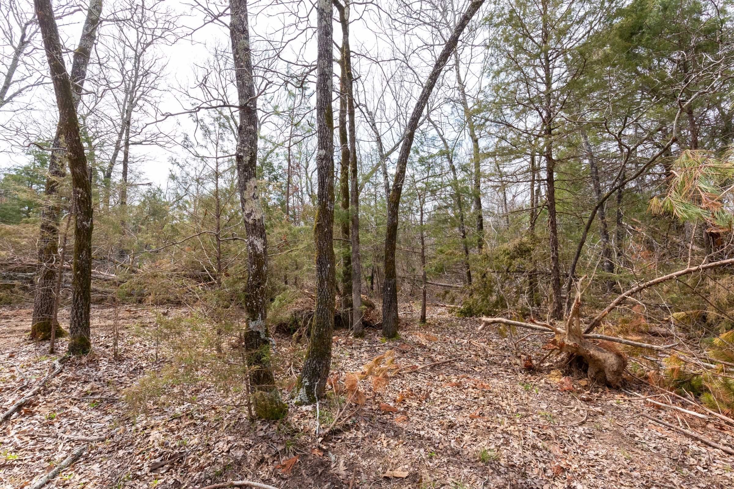 Stone Bridge Phase III Tract 150 photo 10
