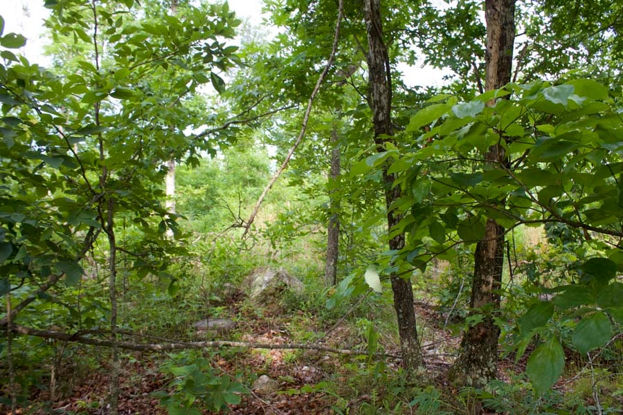 Thunder Mountain Ranch Tract 11 photo 1