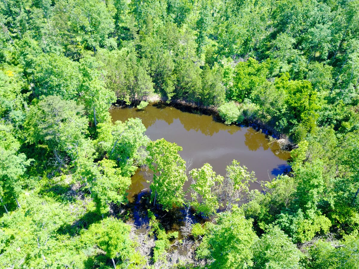 Timber Crossing Tract 27 photo 1