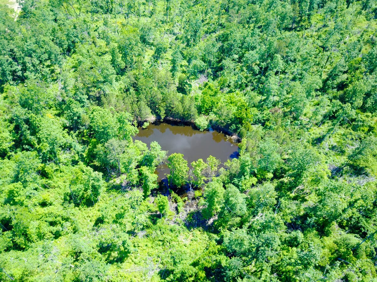 Timber Crossing Tract 27 photo 3