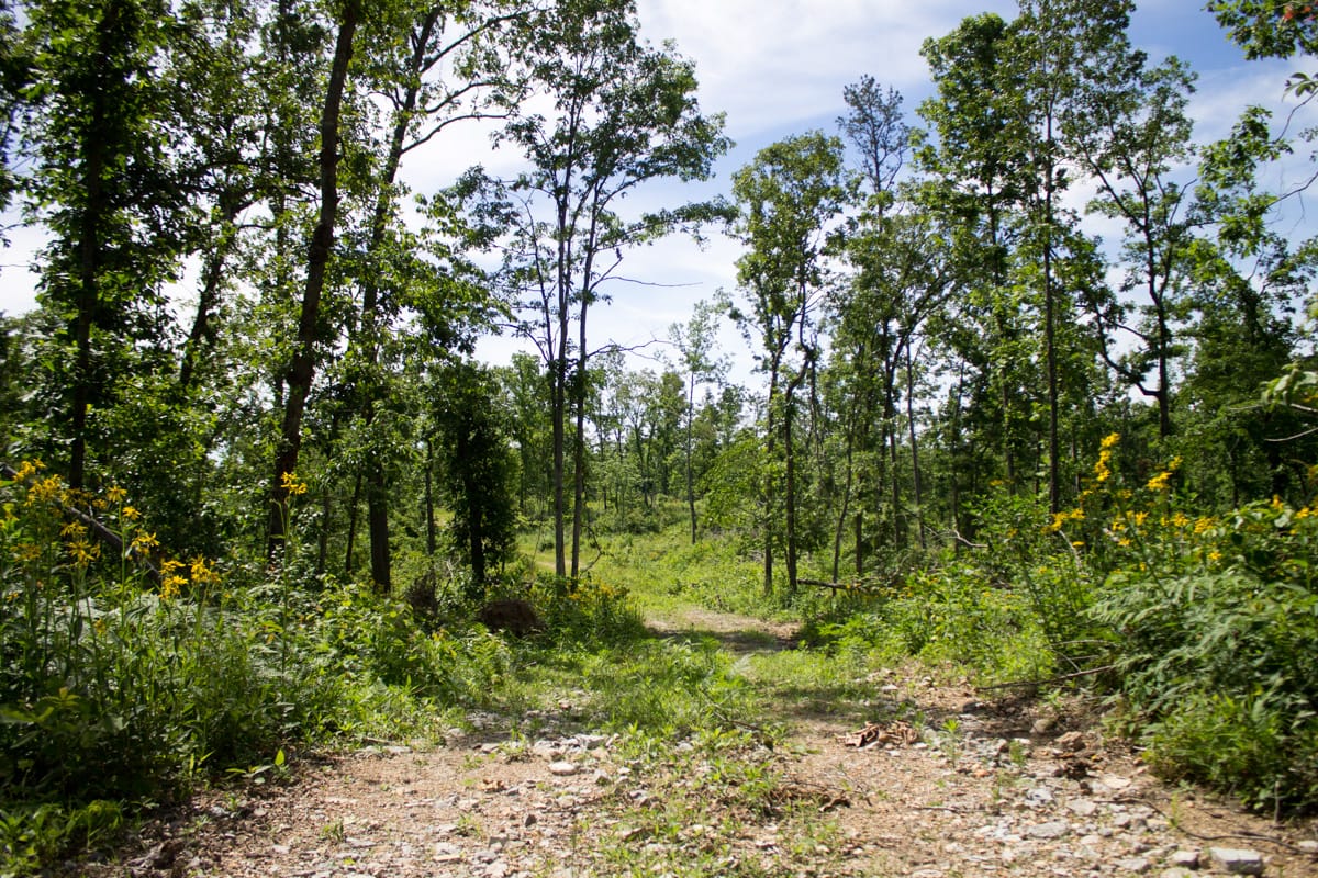 Timber Crossing Tract 27 photo 2