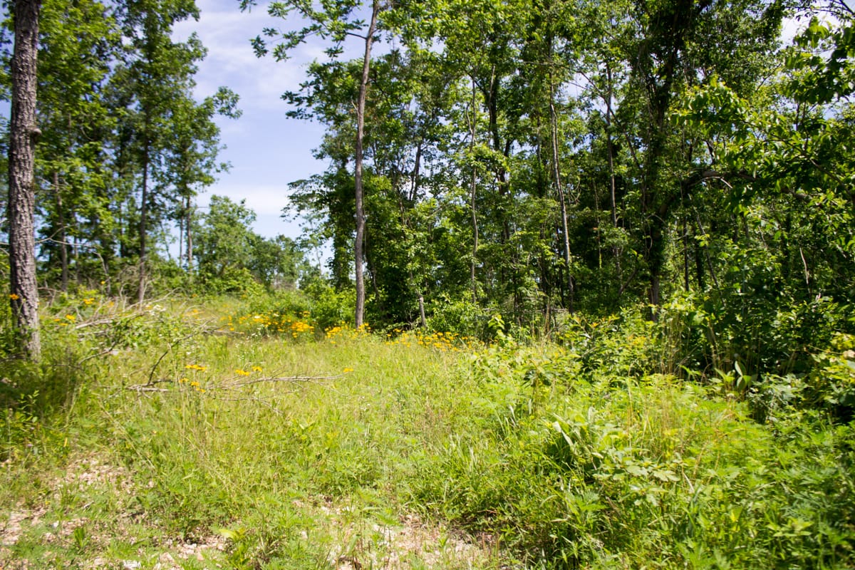 Timber Crossing Tract 27 photo 7