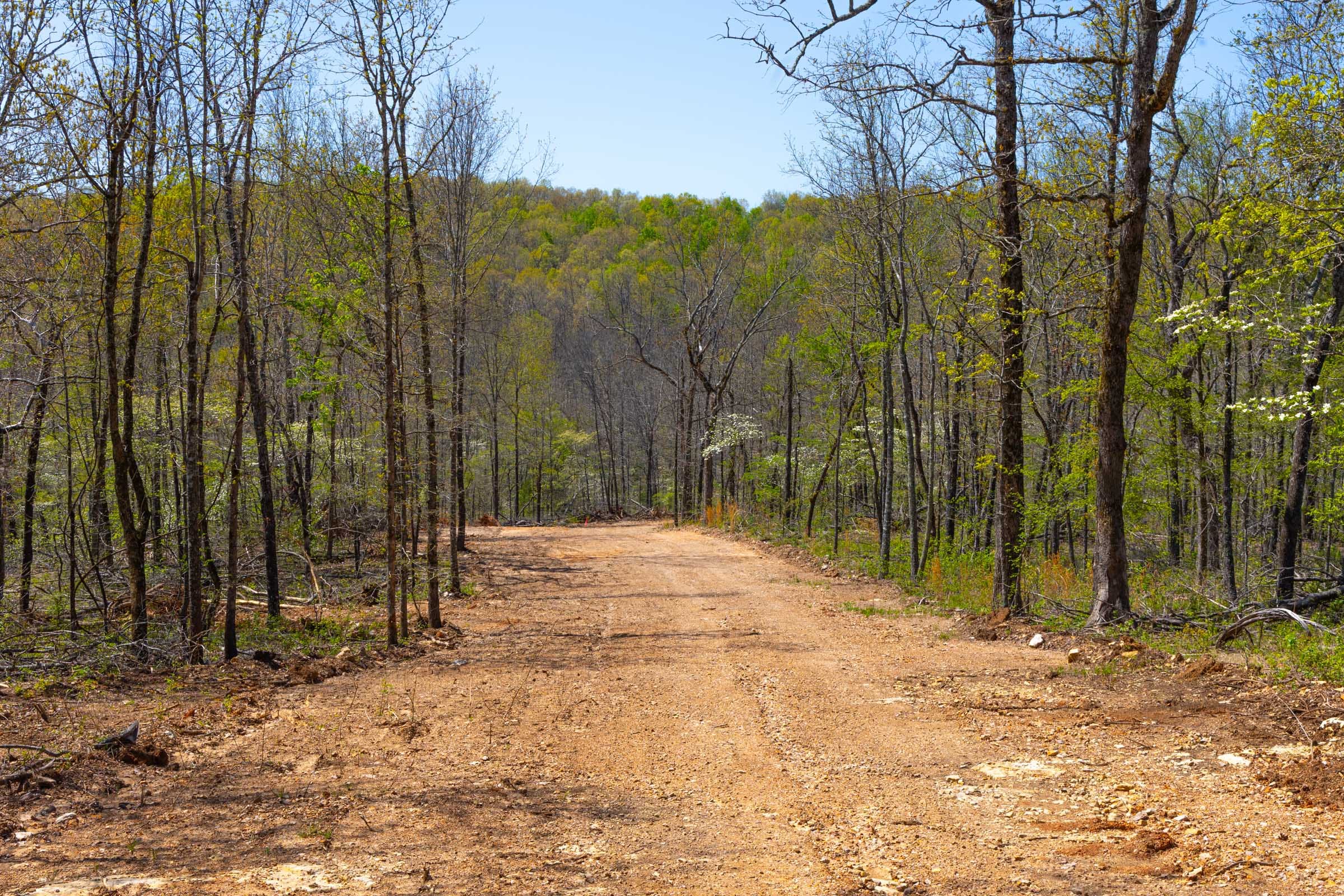 Lazybrook Tract 5 photo 1