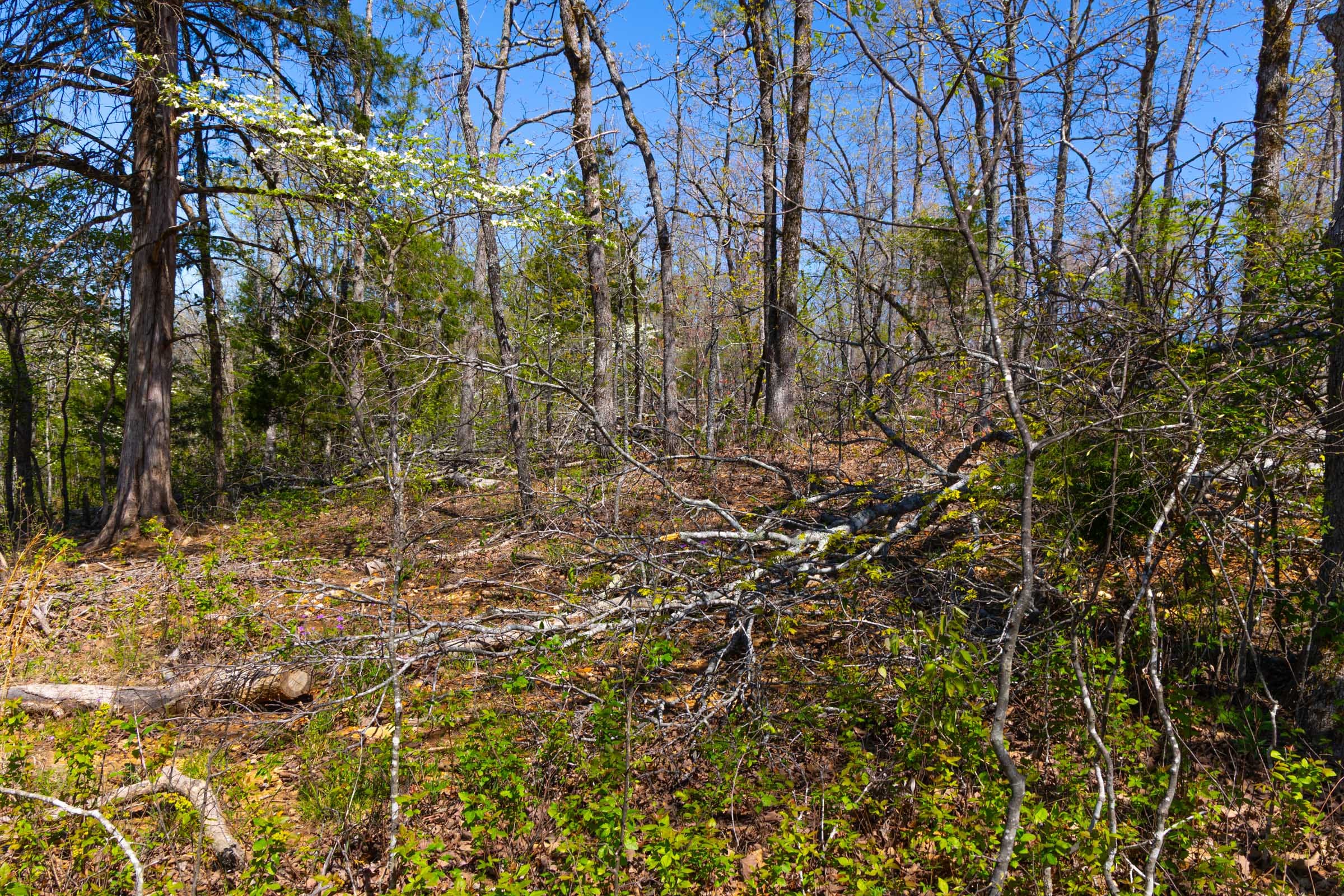 Lazybrook Tract 5 photo 8