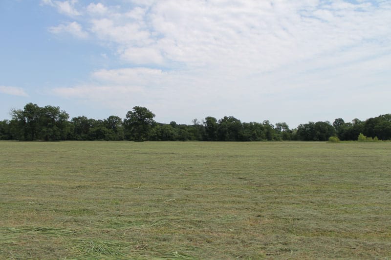 McCoy Creek Ranch Tract 9 photo 2