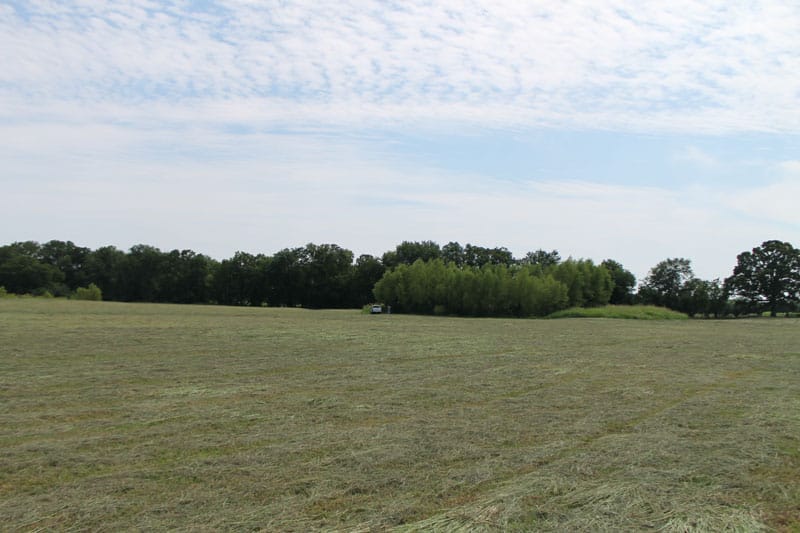 McCoy Creek Ranch Tract 9 photo 3