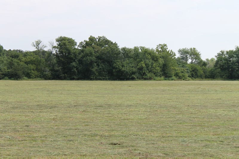McCoy Creek Ranch Tract 9 photo 4