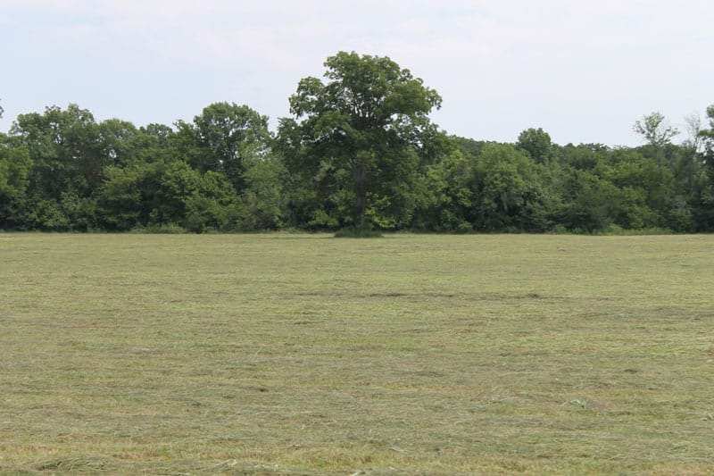 McCoy Creek Ranch Tract 9 photo 5