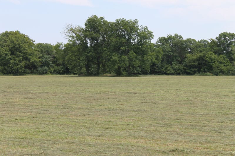McCoy Creek Ranch Tract 9 photo 6