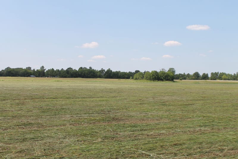 McCoy Creek Ranch Tract 9 photo 7