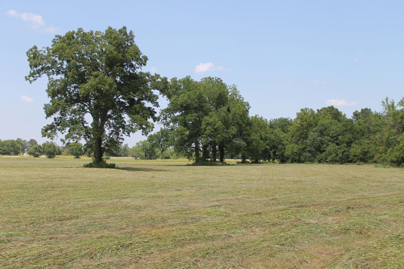 McCoy Creek Ranch Tract 9 photo 8