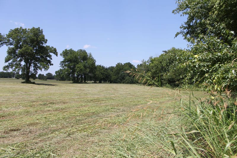 McCoy Creek Ranch Tract 9 photo 9