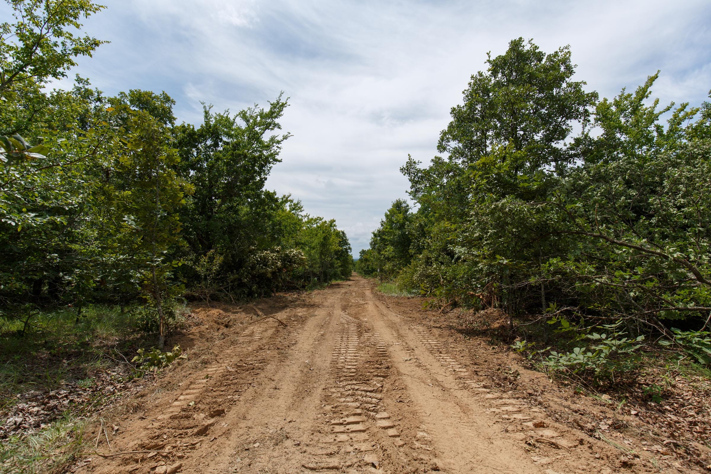 Timber Ridge Tract 25 photo 1