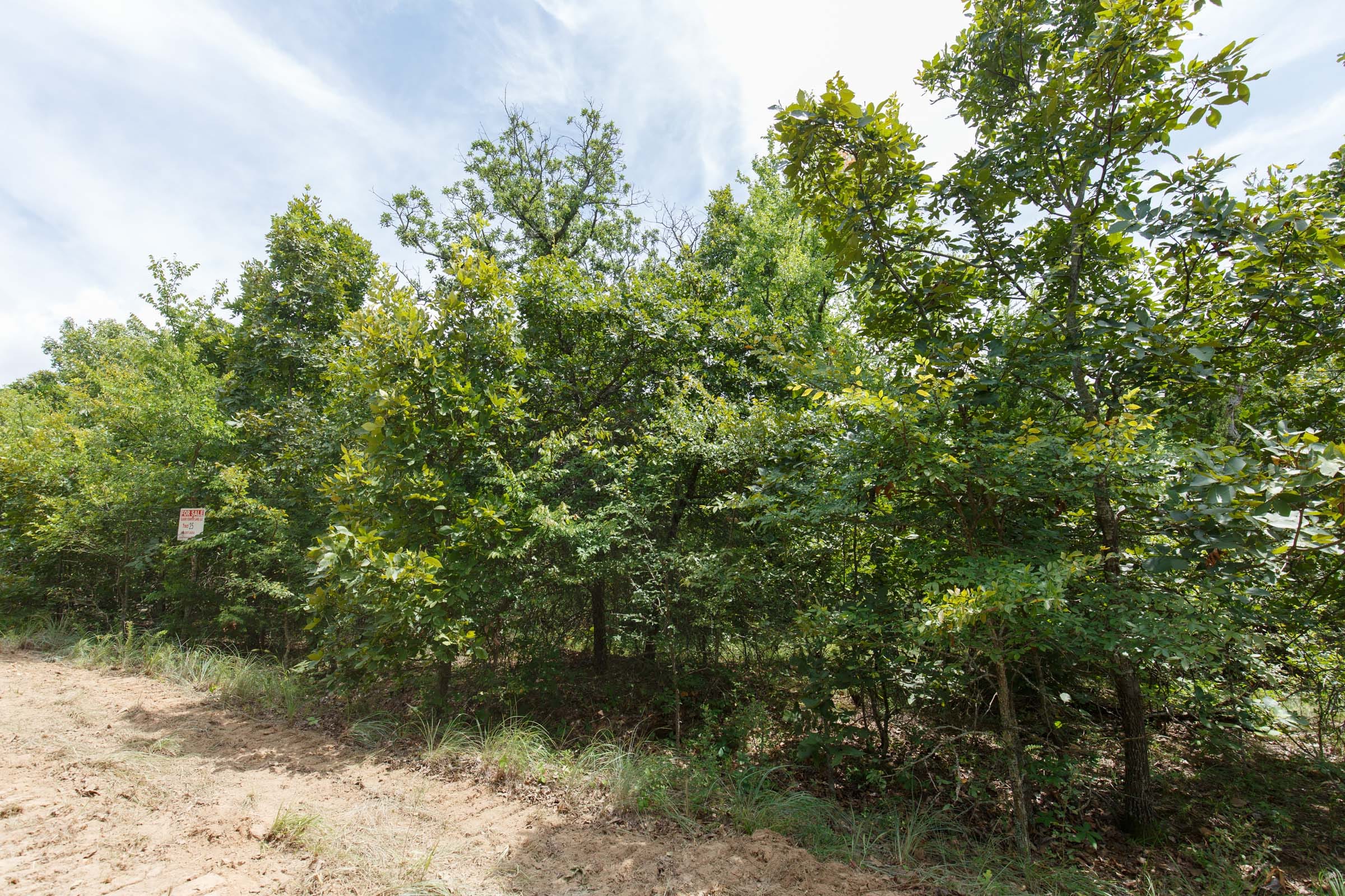 Timber Ridge Tract 25 photo 5