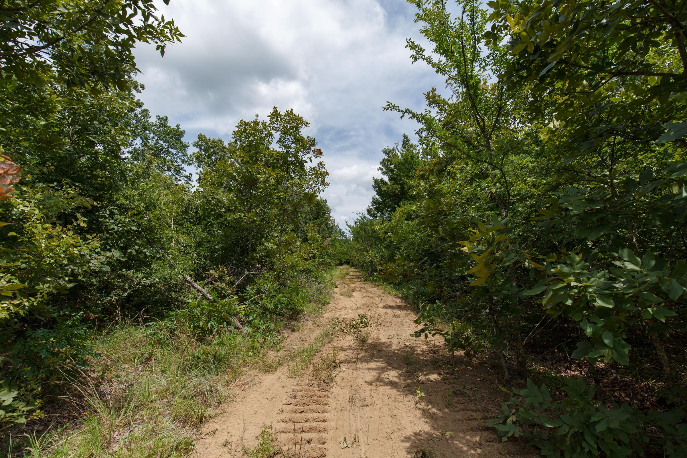 Timber Ridge Tract 25 photo 4
