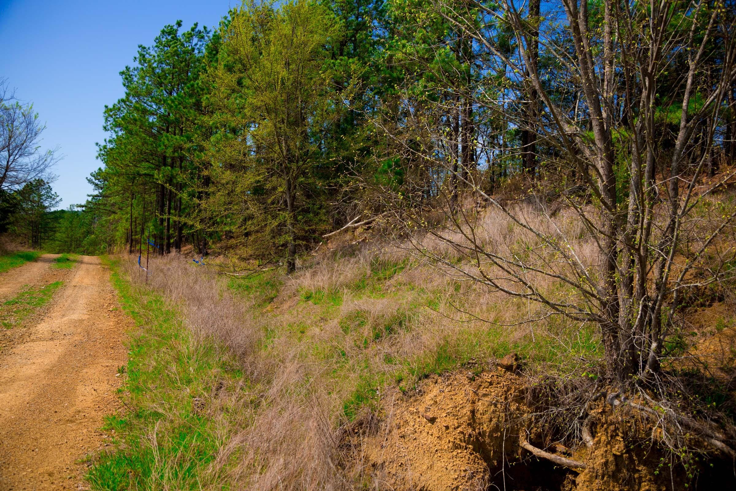 Stone Creek Phase II Tract 232 photo 2